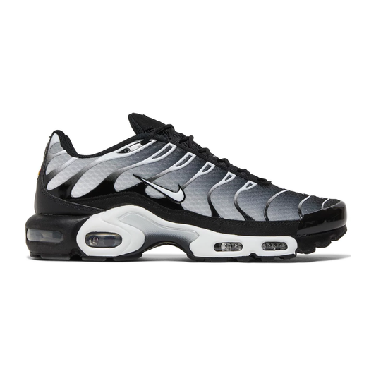 Nike Air Max Plus Tn “Smoke Fade”