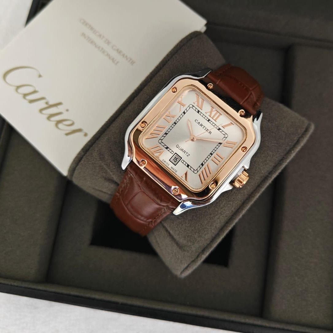 Santos De Cartier (Leather) Watch