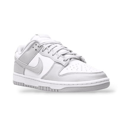 Nike Dunk Low Grey Fog